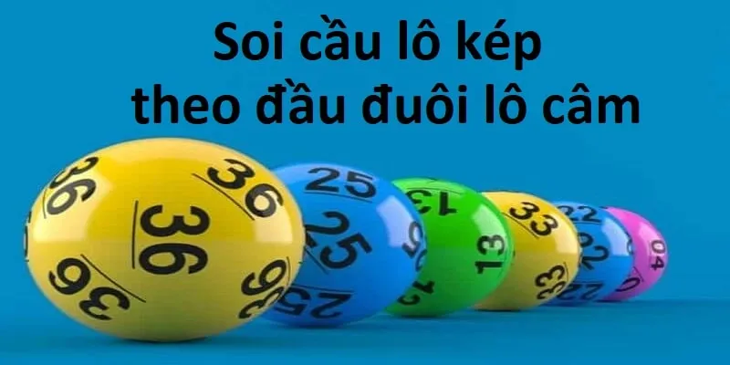 Hướng dẫn 3 bước đặt cược tại đá gà WW88