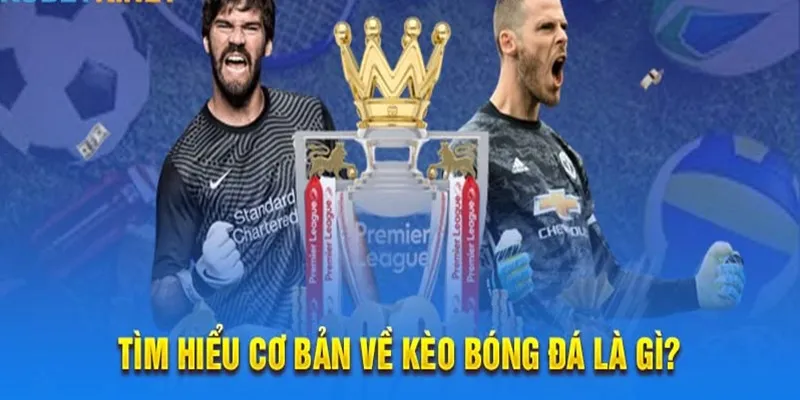 Kinh nghiệm và thành tựu CEO Huấn Hoa Hồng mang đến cho trang cược