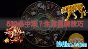 539生肖表